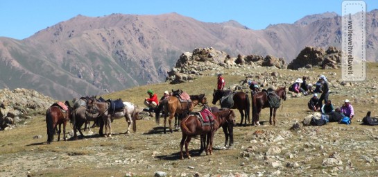 Pferdetrekking in Kirgistan / Horse back trekking in Kyrgyztan